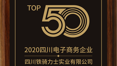 铁骑力士集团入选2020年度四川省电子商务企业50强