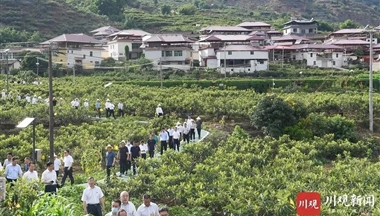 这次现场会中，有哪些经验值得学习推广？ 农业农村厅厅